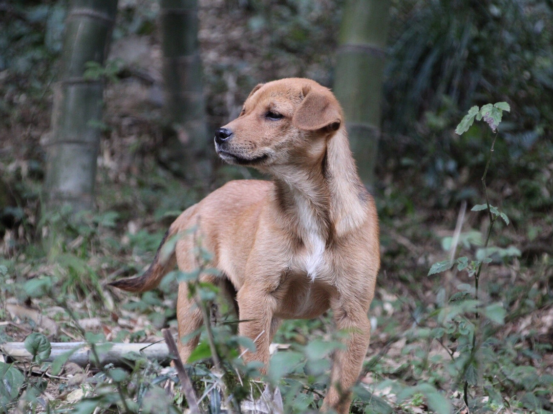 湖州碧坞龙潭-德清县必去景点