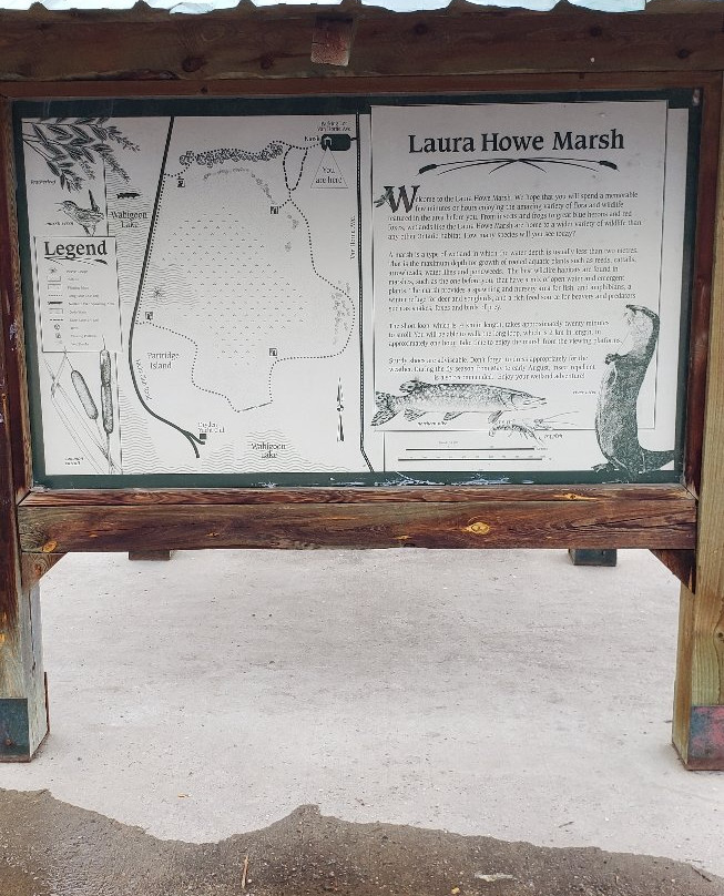 Laura Howe Marsh Long Loop Trail景点图片