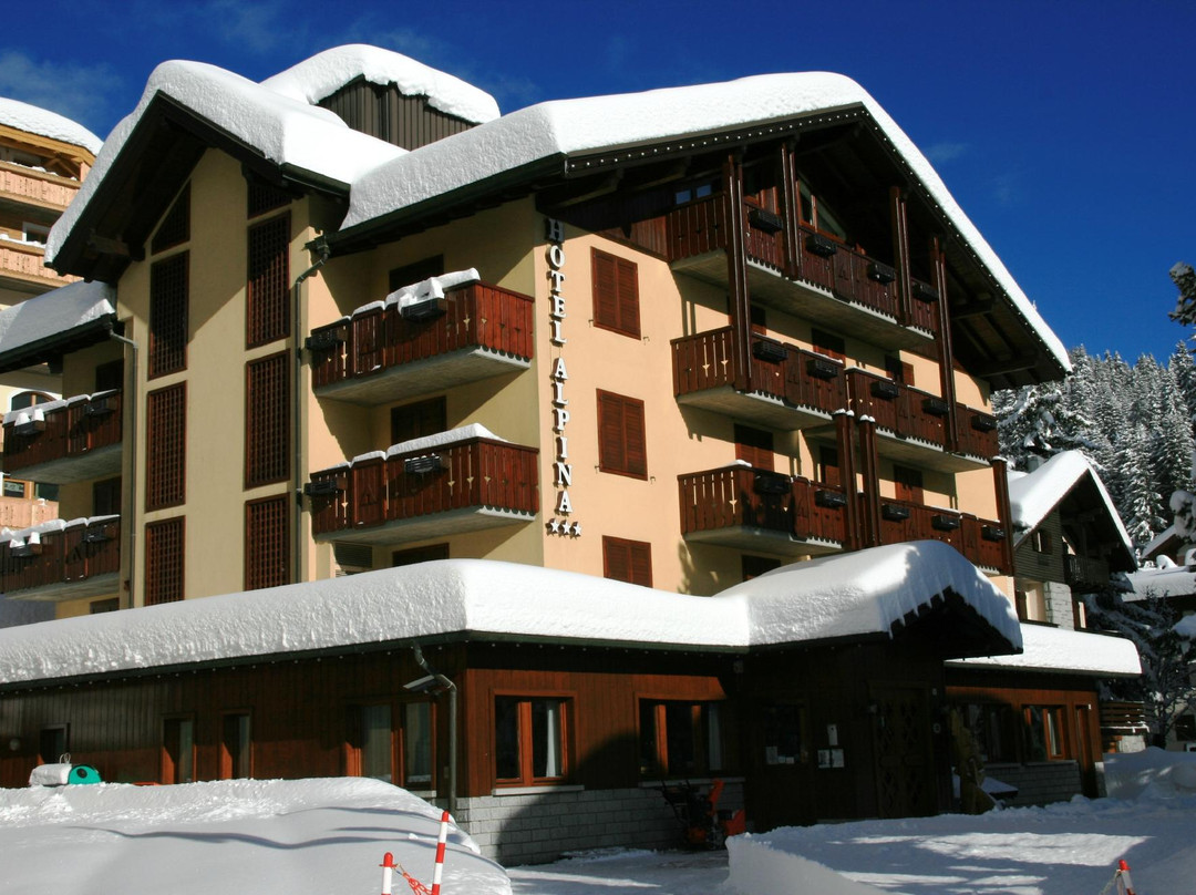 马多纳迪坎皮格里奥酒店住宿-Hotel Alpina