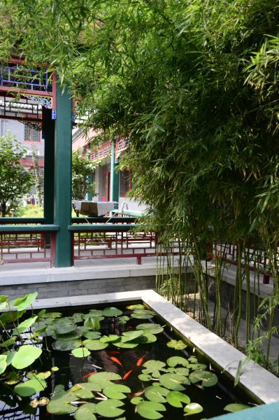 北京和园国际青年客栈-官方