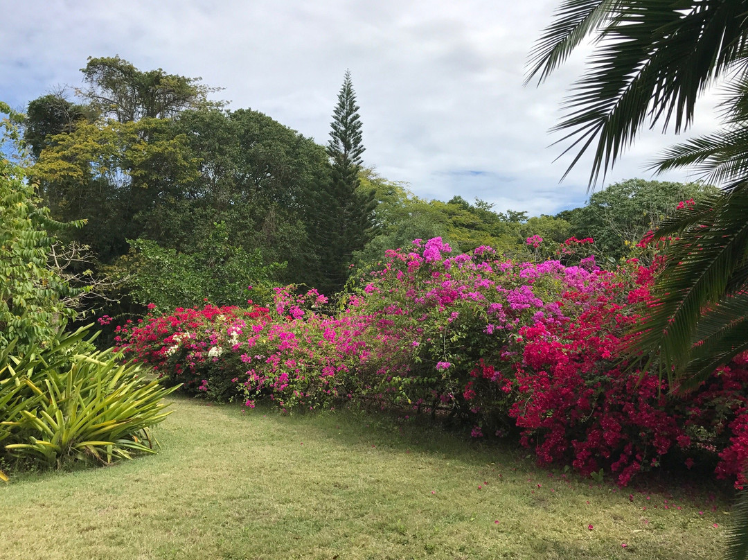 Frederiksted旅游景点-St. George Village Botanical Garden