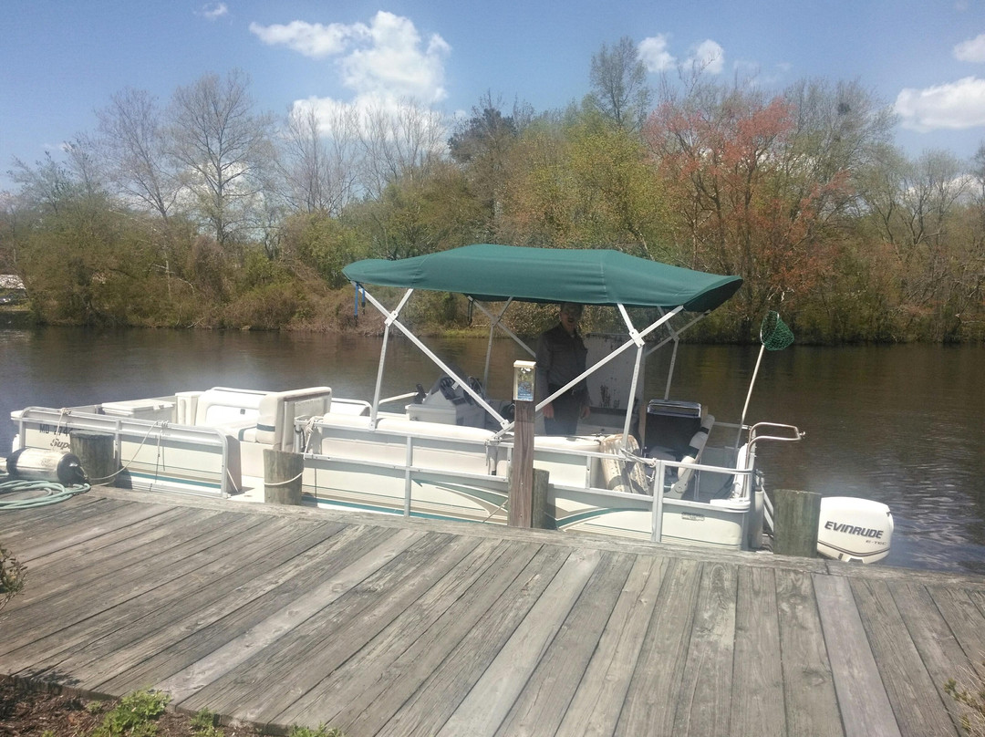 Pocomoke River Cruises景点图片