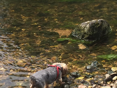 Playa del Alberche-Aldea del Fresno必去景点