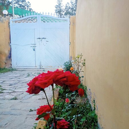 Ziarat-Quetta必去景点