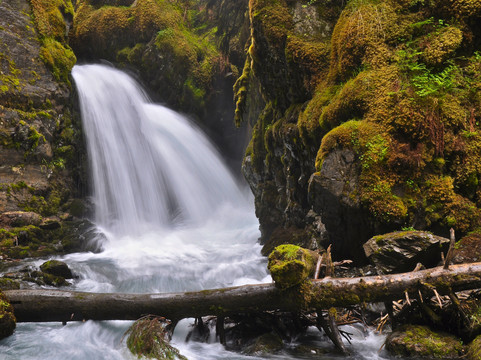 Sixtyone North - Alaska Photo Day Tours-瓦西拉必去景点