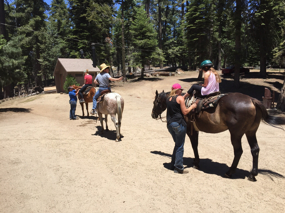 Grant Grove Stables景点图片