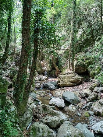 Boriana Gorge景点图片