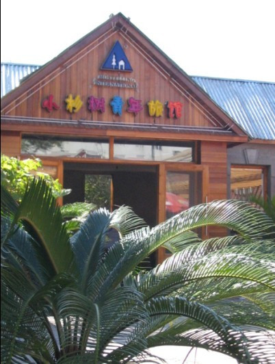 小杉树国际青年旅舍主图