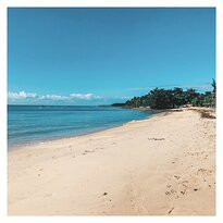 Carne de Vaca Beach景点图片