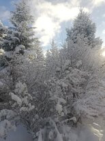 Aparthotel Biosostenible Jardin del Rio Cuervo主图