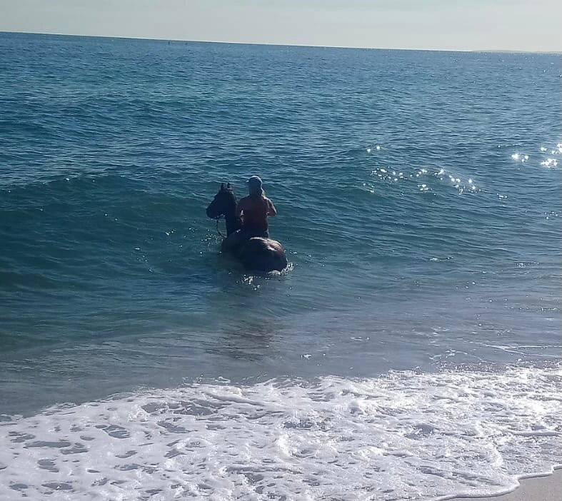 Baja's Awesome Beach Rides-Los Barriles必去景点