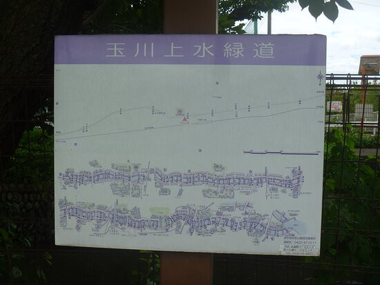Tamagawa Green Road-三鹰市必去景点