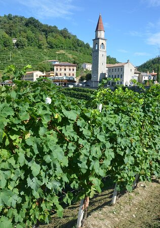 Il Borgo di Rolle景点图片