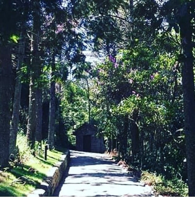 Pousada Canto dos Passaros主图