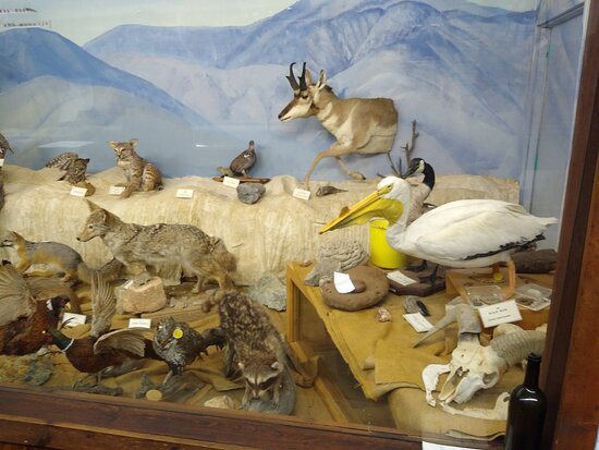 Mineral County Museum-Hawthorne必去景点