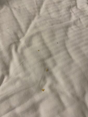 Astoria Rivershore Motel主图