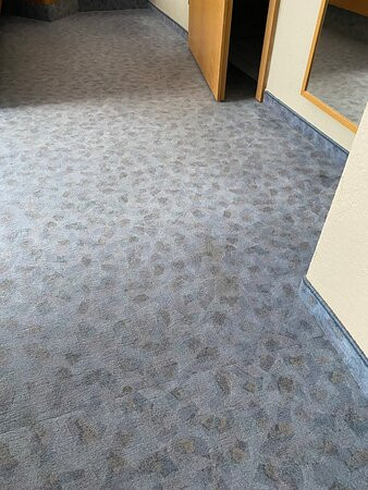 Waldhotel Berghof主图