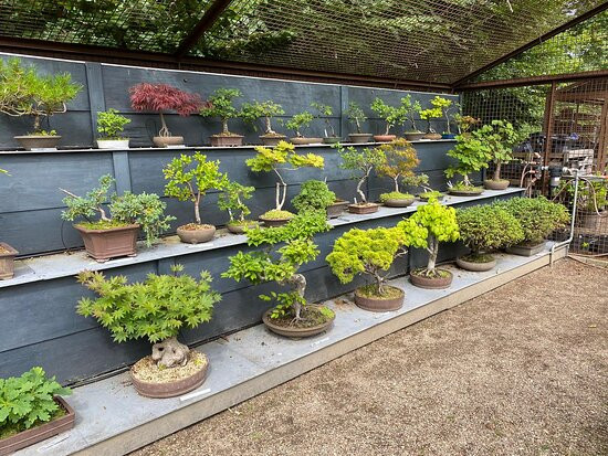 Bangsbo Botaniske Have-腓特烈港必去景点