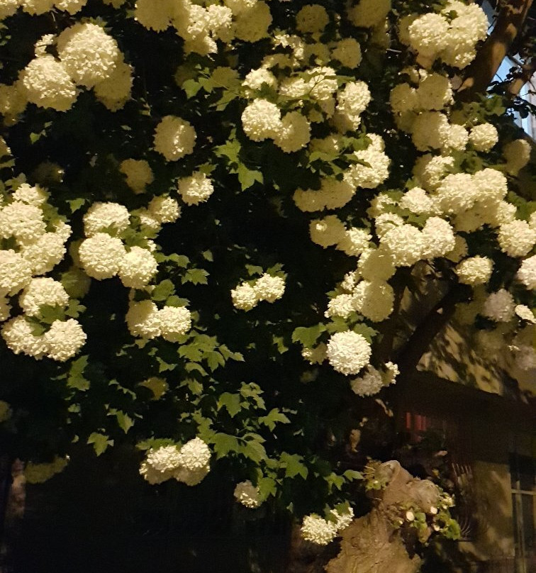 Gölbaşı Kent Parkı-Golbasi必去景点