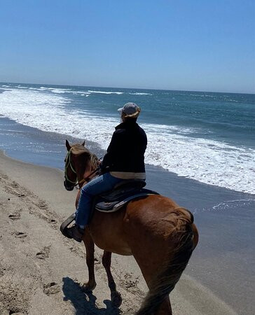 Green Acres Beach & Trail Rides-太平洋城必去景点