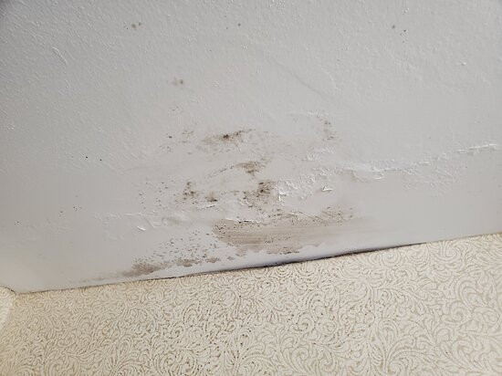 Comfort Inn Arlington Heights-O'Hare Airport主图