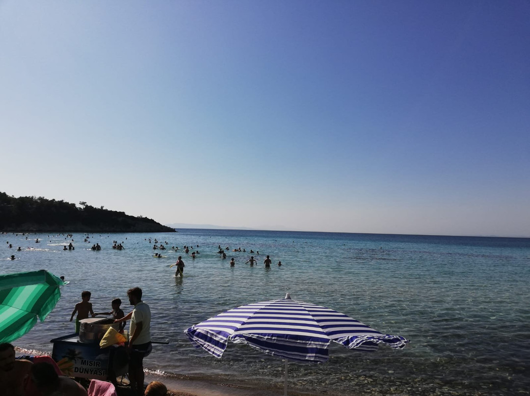 Barselona Beach-迪克利必去景点