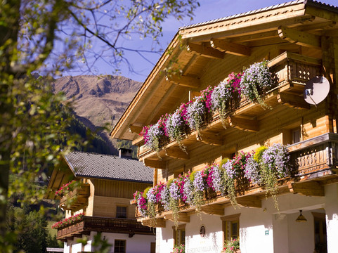 大自然公寓主图