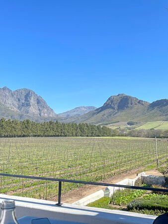 African Blue Tours-开普敦中心区必去景点