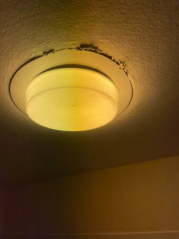 Courtyard by Marriott Tampa North/I-75 Fletcher主图