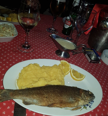 Sacueni酒店住宿-Hanul Pescarilor