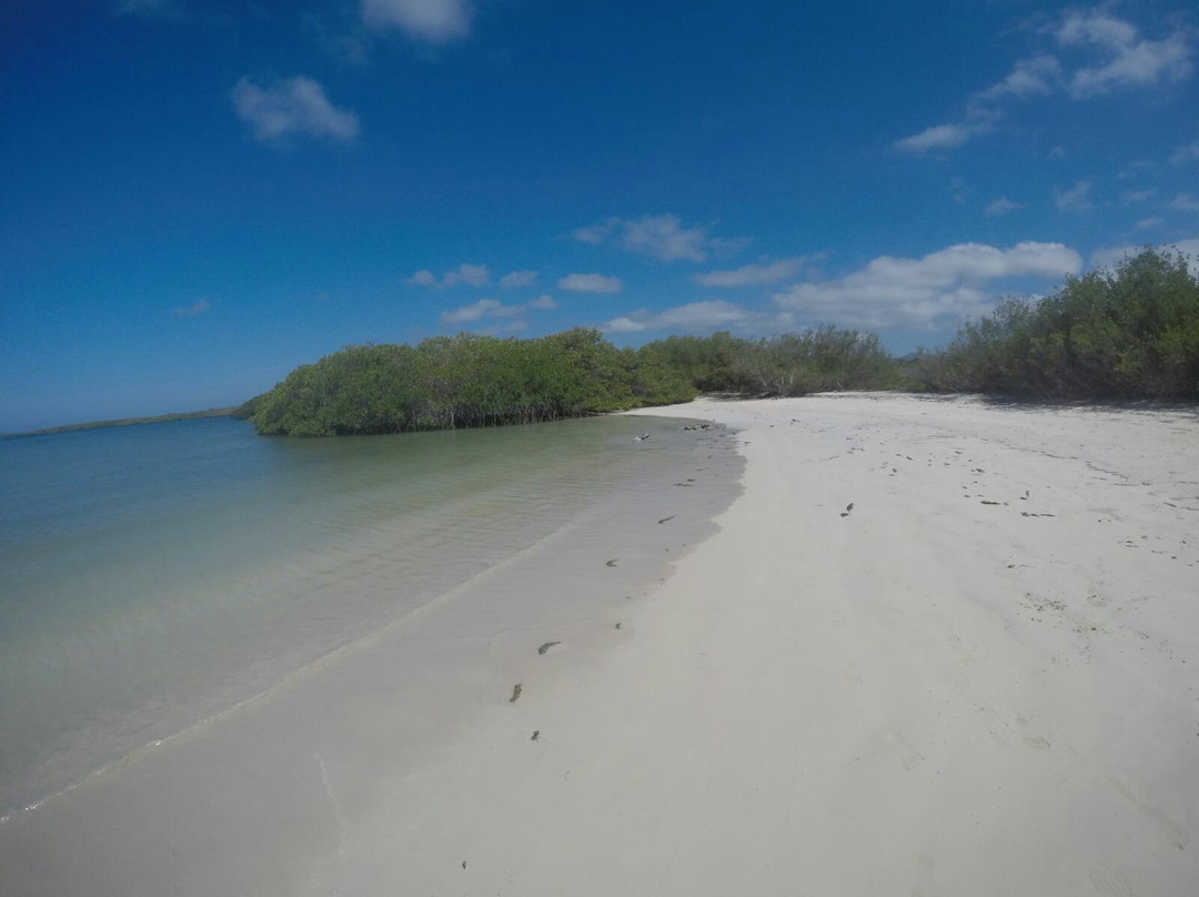 Praia de Santa Cruz-Santa Cruz必去景点