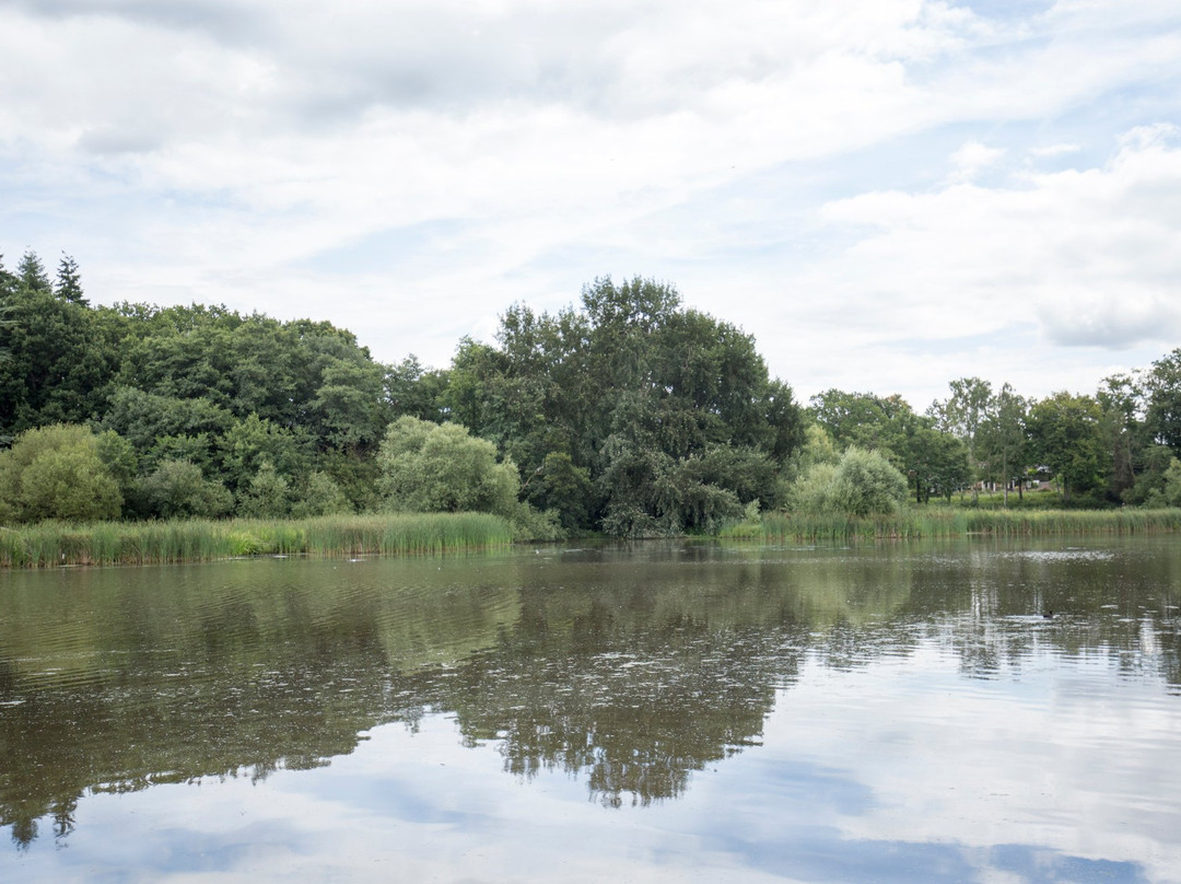 Warnham Local Nature Reserve景点图片