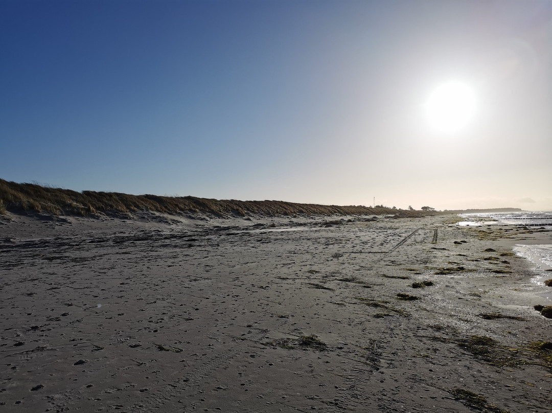 Inselhaus Hiddensee