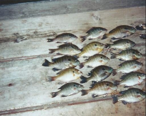 Little Vermillion River