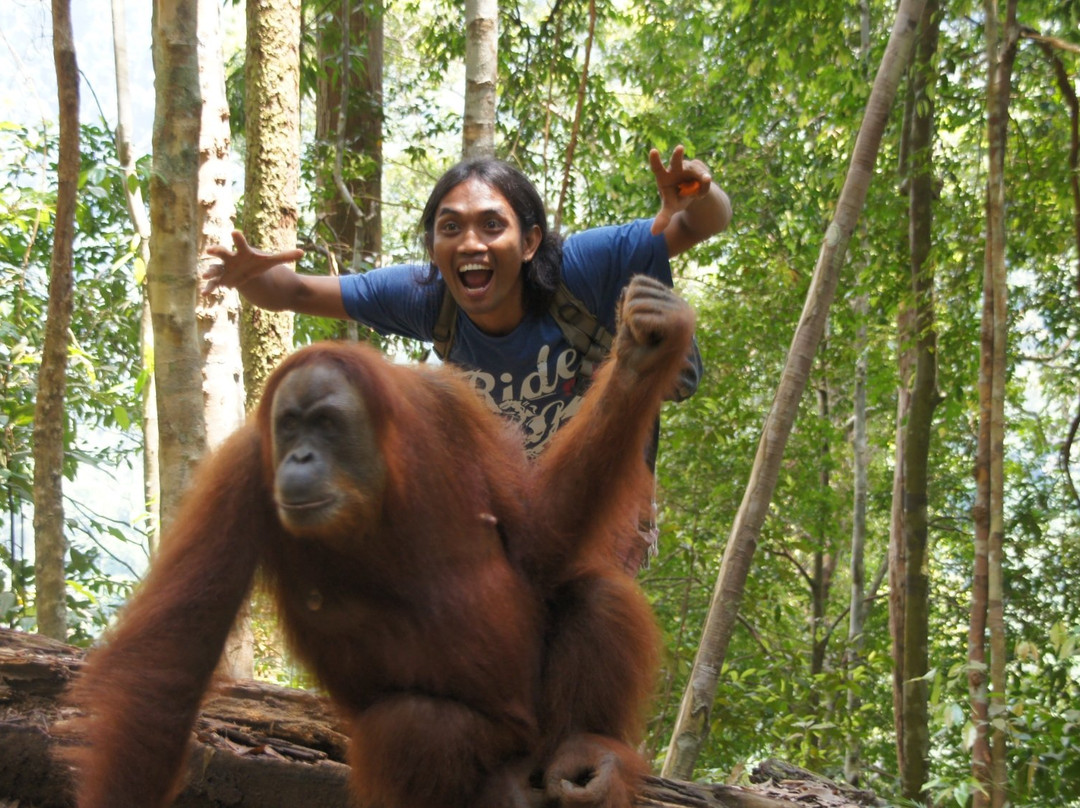Indra Valley Inn Trekking-武吉拉旺必去景点
