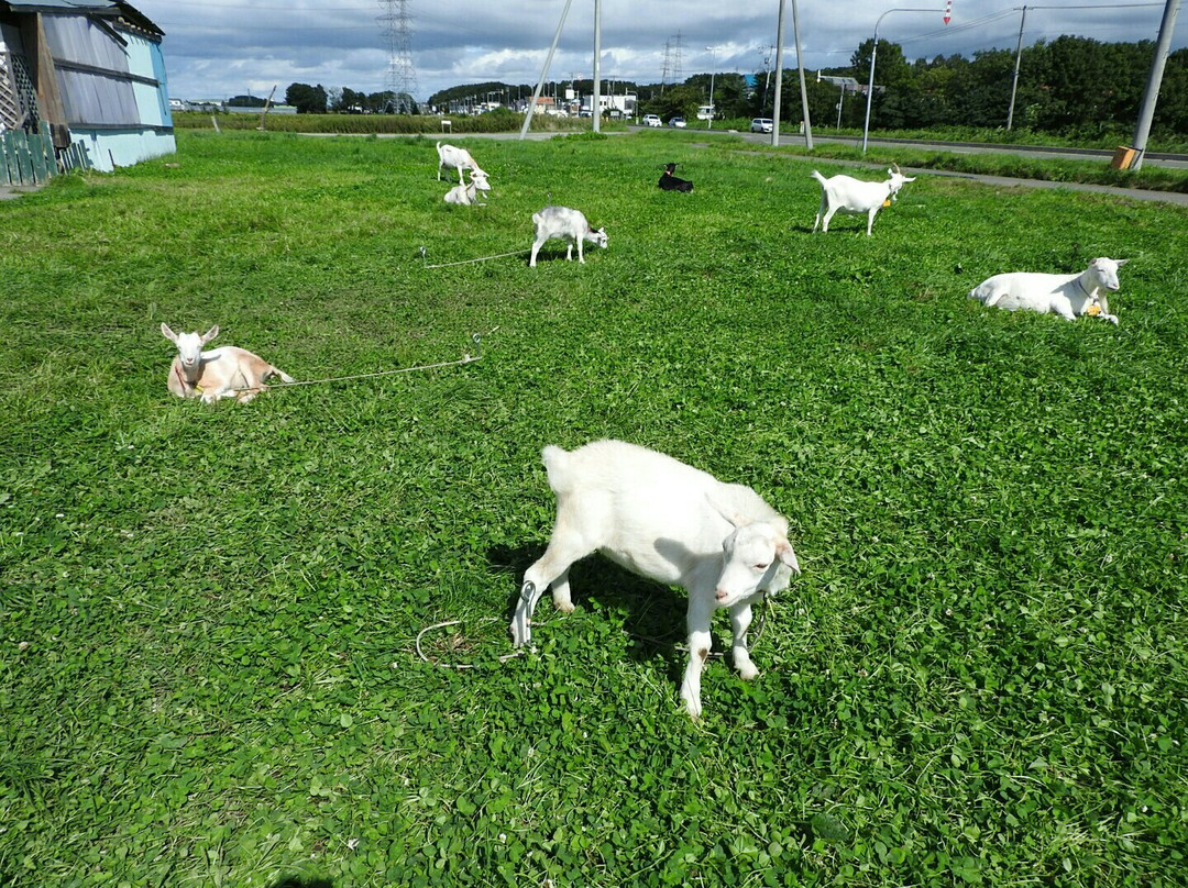 Tonden Farm