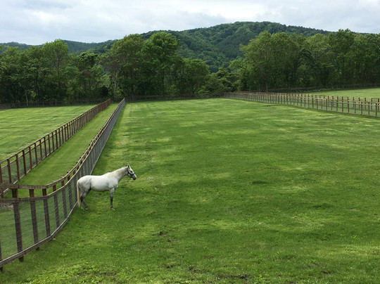 Big Red Farm-新冠町必去景点