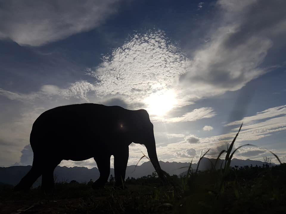 Ganeshapark
