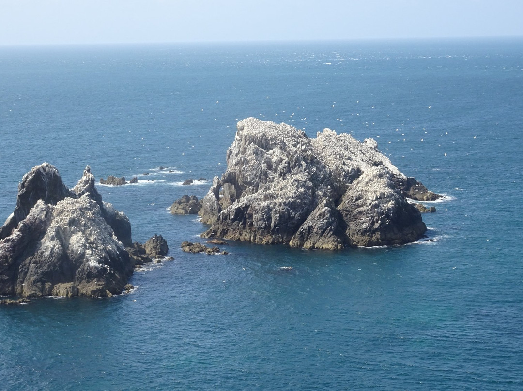 Alderney旅游攻略图片