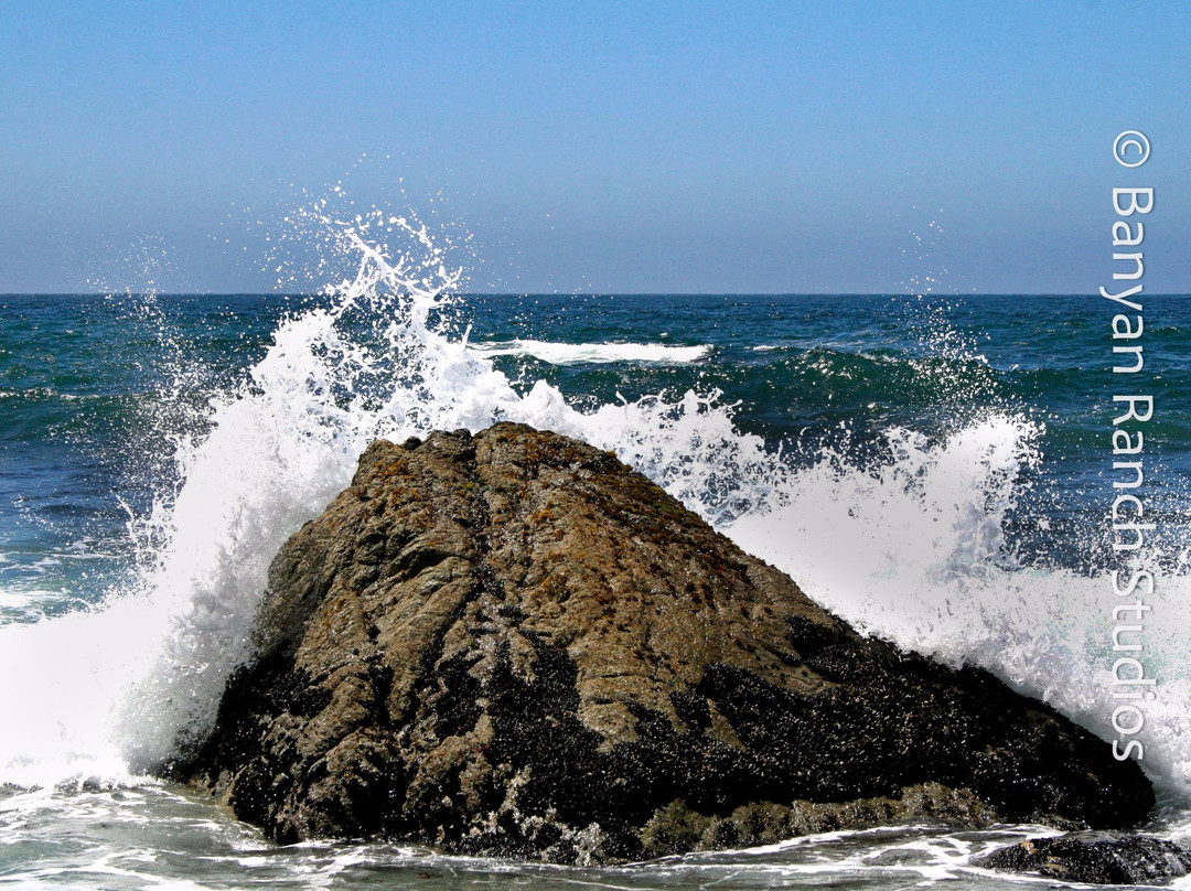 Bodega旅游攻略图片