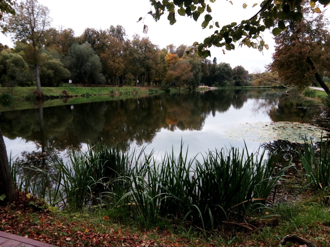 City Park of Culture and Leisure景点图片