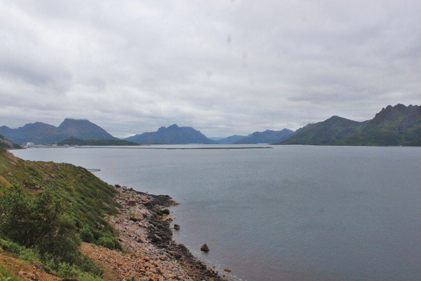 Prestfjorden景点图片