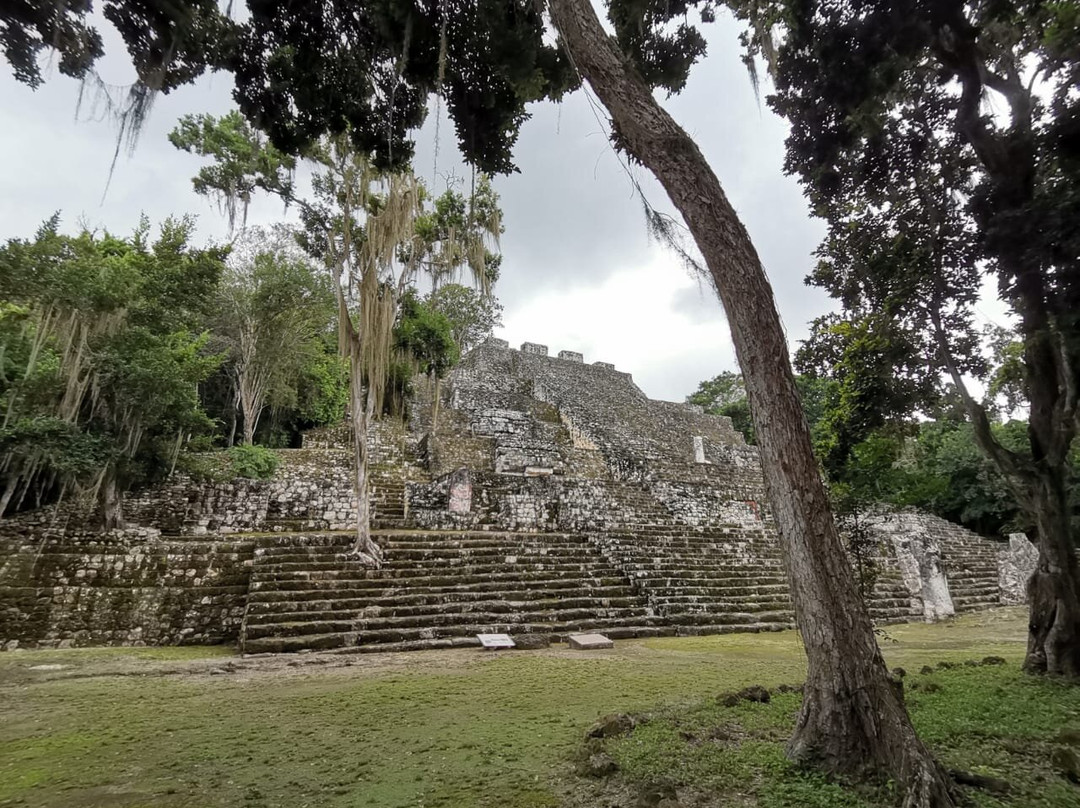 Reserva de la Biosfera de Calakmul-卡拉克穆尔必去景点