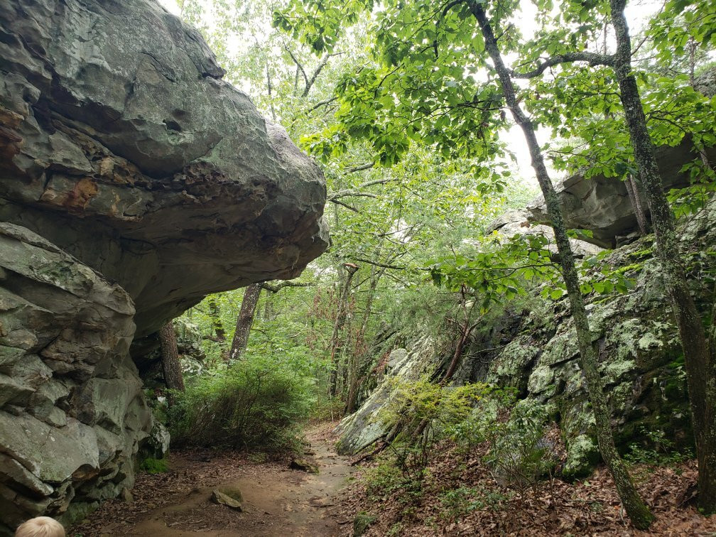 Rocktown Trail景点图片