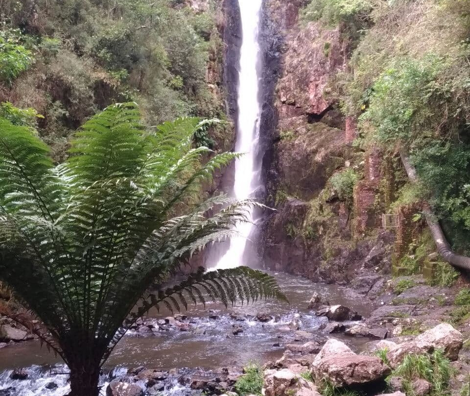 Cascata Paraiso-Campo Alegre必去景点