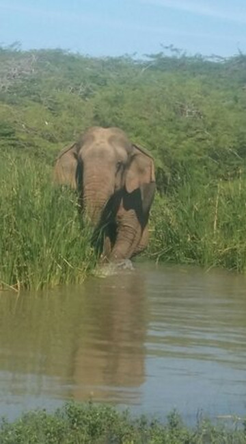 Two Daughters Travel-唐卡拉必去景点