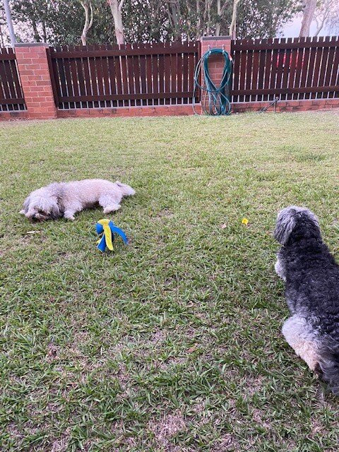 雪莉海滩汽车旅馆主图