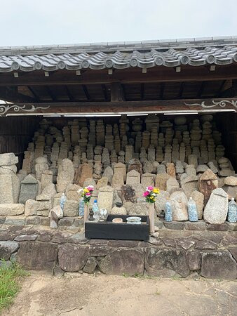 Shoryuji Castle Park-长冈京市必去景点