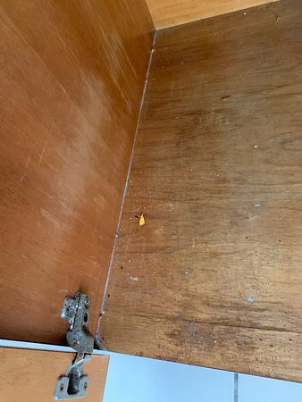 Acacia Guesthouse主图