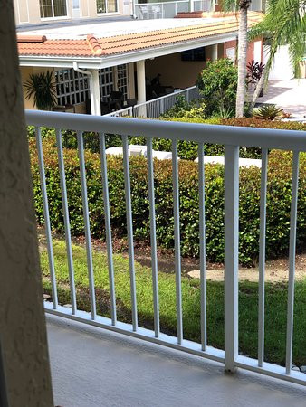 那不勒斯希尔顿逸林酒店主图